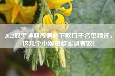 2022双黑逾期微信必下款口子名单精选，这几个小额贷款实测有效！