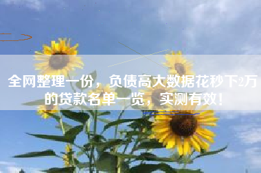 全网整理一份，负债高大数据花秒下2万的贷款名单一览，实测有效！