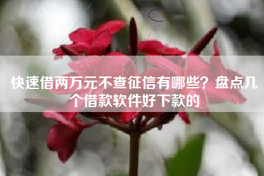 快速借两万元不查征信有哪些？盘点几个借款软件好下款的