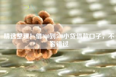 精选整理！借300到500小贷借款口子，不容错过