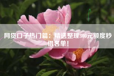 网贷口子热门篇：精选整理300元额度秒借名单！