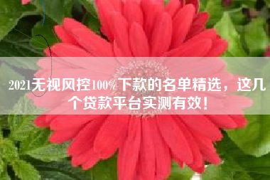 2021无视风控100%下款的名单精选，这几个贷款平台实测有效！
