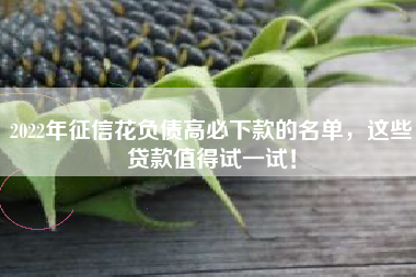 2022年征信花负债高必下款的名单，这些贷款值得试一试！