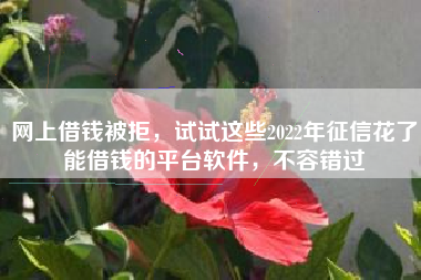 网上借钱被拒，试试这些2022年征信花了能借钱的平台软件，不容错过