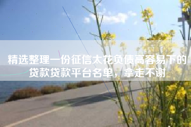 精选整理一份征信太花负债高容易下的贷款贷款平台名单，拿走不谢