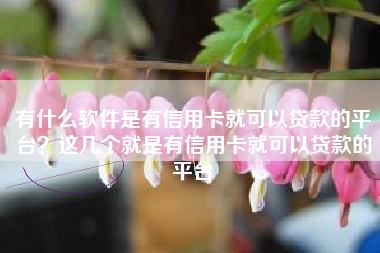有什么软件是有信用卡就可以贷款的平台？这几个就是有信用卡就可以贷款的平台