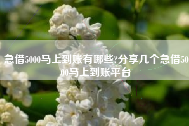 急借5000马上到账有哪些?分享几个急借5000马上到账平台