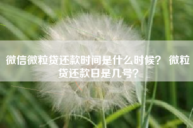 微信微粒贷还款时间是什么时候？ 微粒贷还款日是几号？