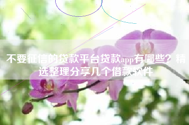 不要征信的贷款平台贷款app有哪些？精选整理分享几个借款软件