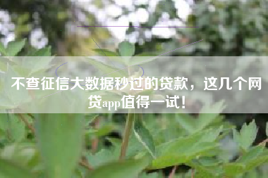 不查征信大数据秒过的贷款，这几个网贷app值得一试！