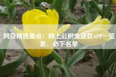网贷精选盘点：网上公积金贷款APP一览表，必下名单