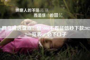 网贷精选盘点：借5000不看征信秒下款2022一览表，必下口子