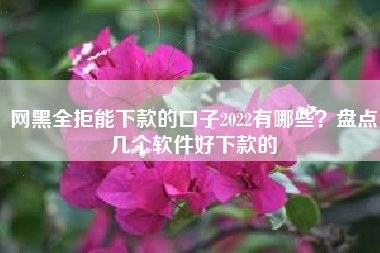 网黑全拒能下款的口子2022有哪些？盘点几个软件好下款的