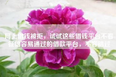 网上借钱被拒，试试这些借钱平台不看征信容易通过的借款平台，不容错过