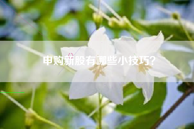 申购新股有哪些小技巧？
