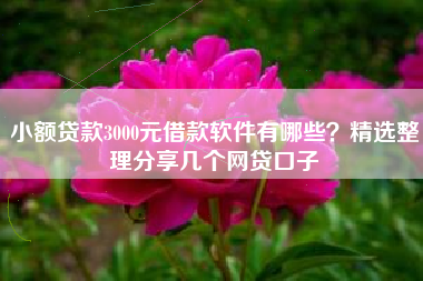 小额贷款3000元借款软件有哪些？精选整理分享几个网贷口子