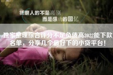 独家整理综合评分不足负债高2022能下款名单，分享几个最好下的小贷平台！