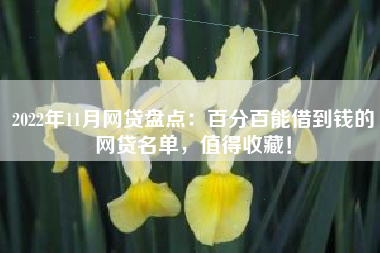 2022年11月网贷盘点：百分百能借到钱的网贷名单，值得收藏！