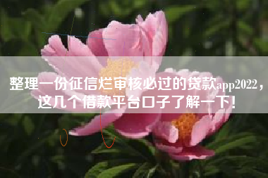 整理一份征信烂审核必过的贷款app2022，这几个借款平台口子了解一下！