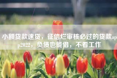小额贷款速贷，征信烂审核必过的贷款app2022，负债也能借，不看工作