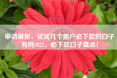申请被拒，试试几个黑户必下款的口子有吗2022，必下款口子盘点！