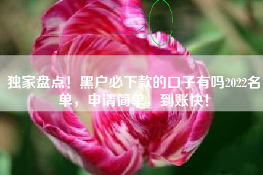 独家盘点！黑户必下款的口子有吗2022名单，申请简单，到账快！