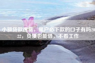 小额贷款速贷，黑户必下款的口子有吗2022，负债也能借，不看工作