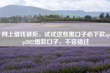 网上借钱被拒，试试这些黑口子必下款app2022借款口子，不容错过
