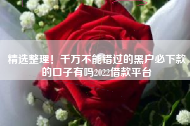 精选整理！千万不能错过的黑户必下款的口子有吗2022借款平台