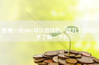 整理一份100%可以借钱的，这几个贷款口子了解一下！