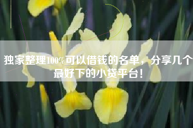 独家整理100%可以借钱的名单，分享几个最好下的小贷平台！