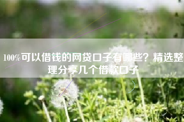 100%可以借钱的网贷口子有哪些？精选整理分享几个借款口子