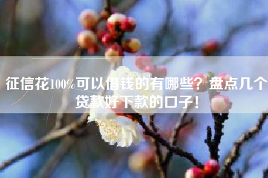 征信花100%可以借钱的有哪些？盘点几个贷款好下款的口子！