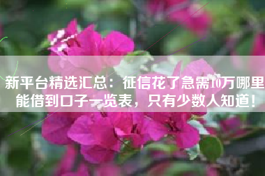 新平台精选汇总：征信花了急需10万哪里能借到口子一览表，只有少数人知道！