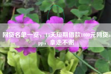 网贷名单一览，14天短期借款1000元网贷app，拿走不谢