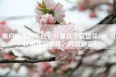 黑户能借的平台，分享几个征信花100%可以借钱的软件，网贷必备！