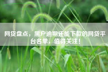 网贷盘点，黑户逾期还能下款的网贷平台名单，值得关注！