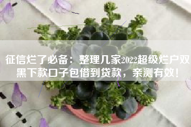 征信烂了必备：整理几家2022超级烂户双黑下款口子包借到贷款，亲测有效！