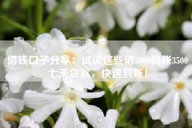 借钱口子分享：试试这些借5000到账3500七天贷款，快速到账！