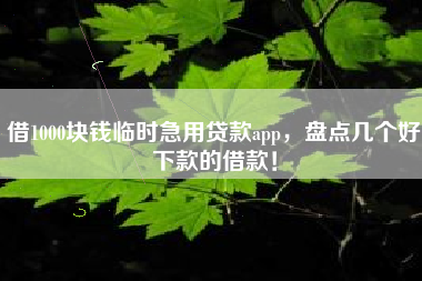 借1000块钱临时急用贷款app，盘点几个好下款的借款！