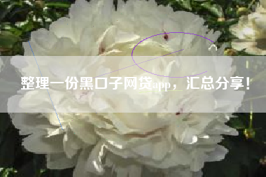 整理一份黑口子网贷app，汇总分享！