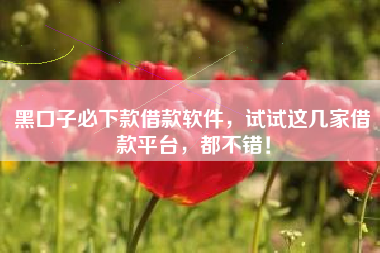 黑口子必下款借款软件，试试这几家借款平台，都不错！