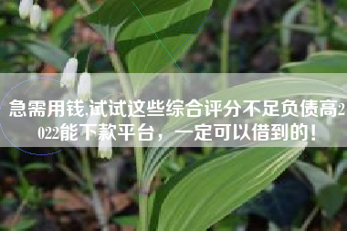 急需用钱,试试这些综合评分不足负债高2022能下款平台，一定可以借到的！