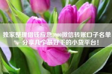 独家整理借钱应急3000微信转账口子名单，分享几个最好下的小贷平台！