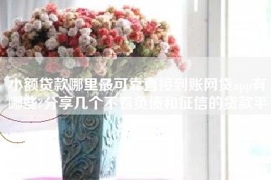 小额贷款哪里最可靠直接到账网贷app有哪些?分享几个不看负债和征信的贷款平台