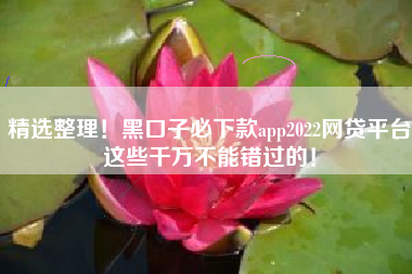 精选整理！黑口子必下款app2022网贷平台这些千万不能错过的！