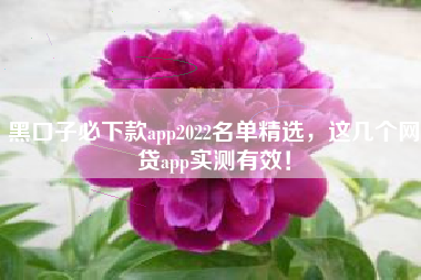 黑口子必下款app2022名单精选，这几个网贷app实测有效！