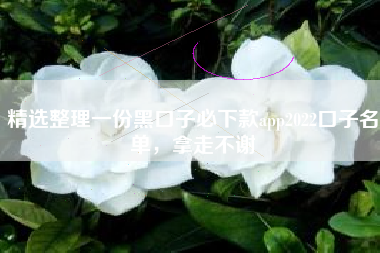 精选整理一份黑口子必下款app2022口子名单，拿走不谢