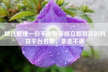 精选整理一份不需要审核立即放款的网贷平台名单，拿走不谢