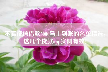 不看征信借款5000马上到账的名单精选，这几个贷款app实测有效！